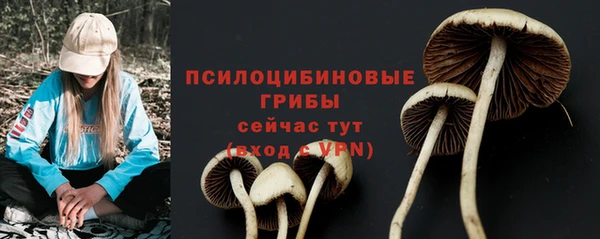 наркотики Алексеевка