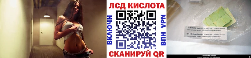 как найти   Егорьевск  OMG tor  Марки N-bome 1,5мг 